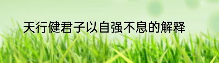 天行健君子以自强不息的解释