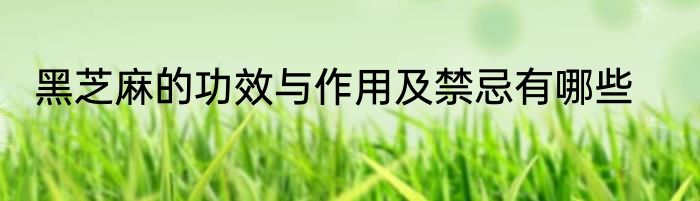 黑芝麻的功效与作用及禁忌有哪些