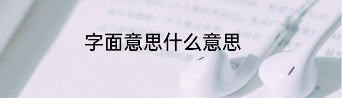 字面意思什么意思