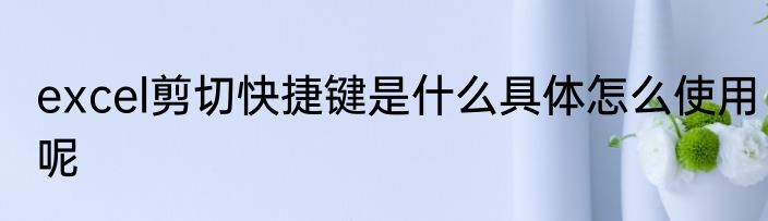 excel剪切快捷键是什么具体怎么使用呢
