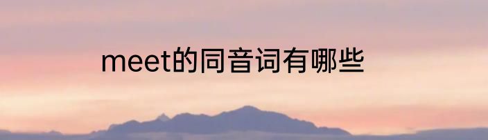meet的同音词有哪些