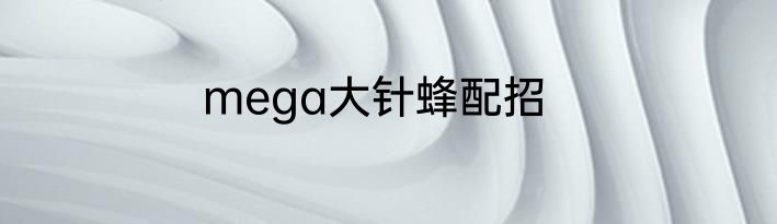 mega大针蜂配招