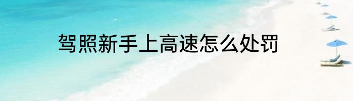 驾照新手上高速怎么处罚