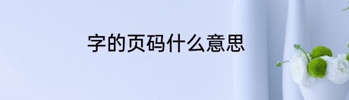 字的页码什么意思