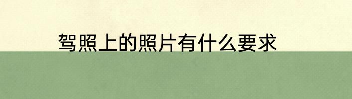 驾照上的照片有什么要求