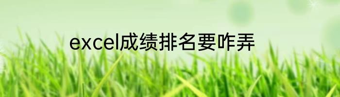 excel成绩排名要咋弄