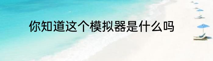 你知道这个模拟器是什么吗