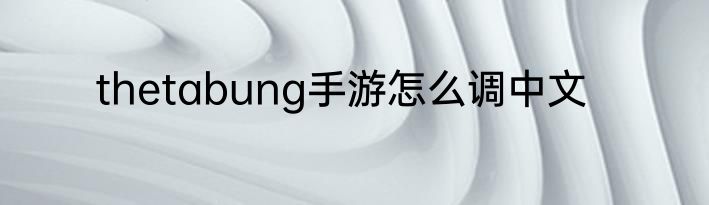 thetabung手游怎么调中文
