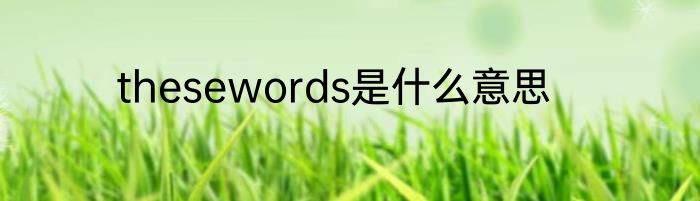 thesewords是什么意思