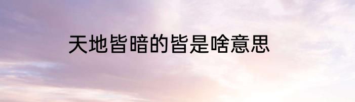 天地皆暗的皆是啥意思