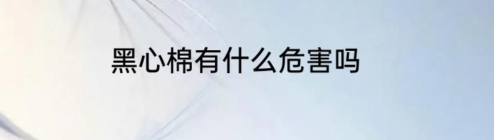 黑心棉有什么危害吗