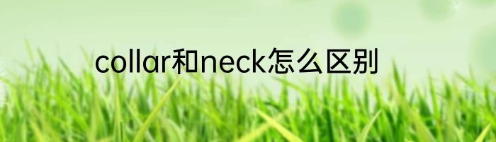 collar和neck怎么区别