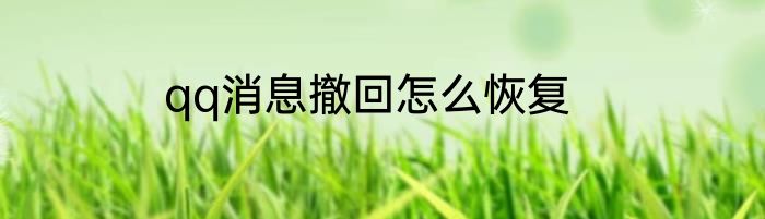 qq消息撤回怎么恢复