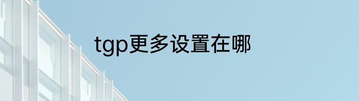 tgp更多设置在哪
