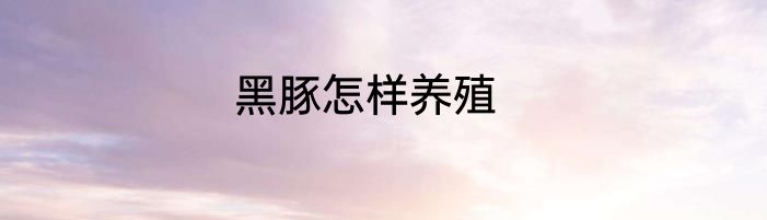 黑豚怎样养殖