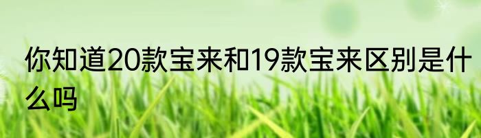 你知道20款宝来和19款宝来区别是什么吗