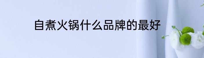 自煮火锅什么品牌的最好