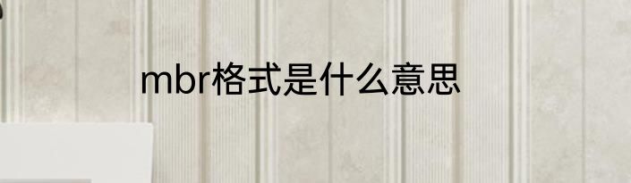 mbr格式是什么意思