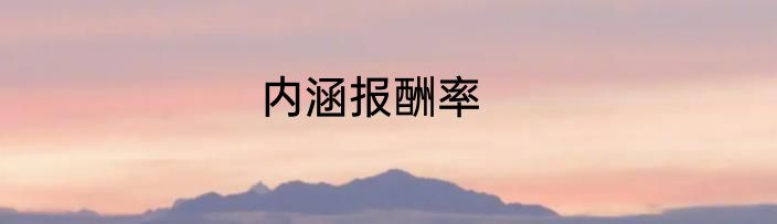 内涵报酬率