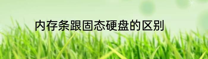 内存条跟固态硬盘的区别