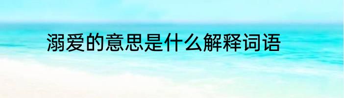溺爱的意思是什么解释词语