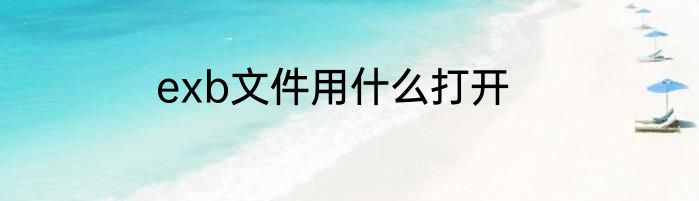 exb文件用什么打开