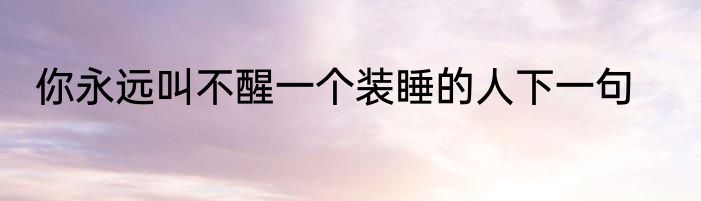 你永远叫不醒一个装睡的人下一句