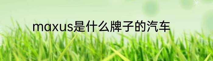 maxus是什么牌子的汽车