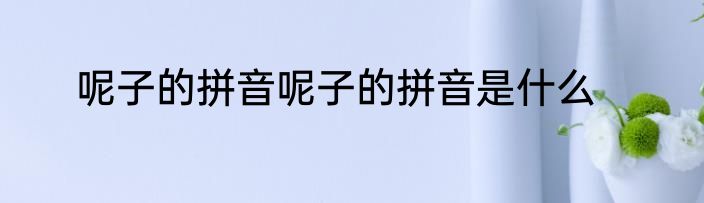 呢子的拼音呢子的拼音是什么