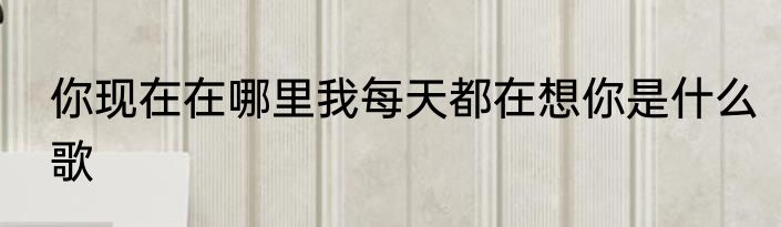 你现在在哪里我每天都在想你是什么歌