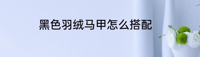 黑色羽绒马甲怎么搭配