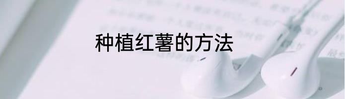 种植红薯的方法