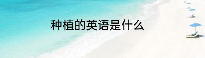 种植的英语是什么