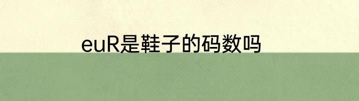 euR是鞋子的码数吗