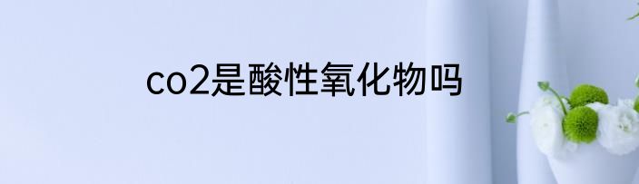co2是酸性氧化物吗