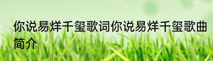 你说易烊千玺歌词你说易烊千玺歌曲简介