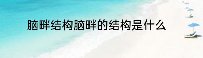 脑畔结构脑畔的结构是什么