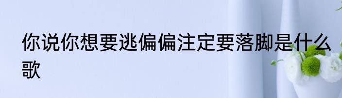 你说你想要逃偏偏注定要落脚是什么歌