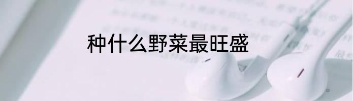 种什么野菜最旺盛