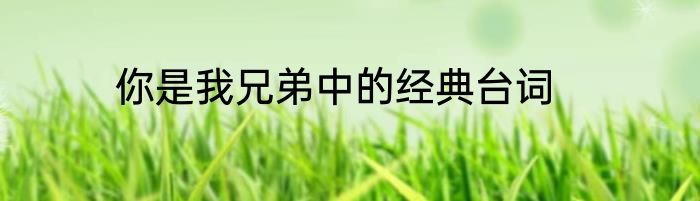 你是我兄弟中的经典台词