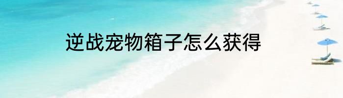 逆战宠物箱子怎么获得