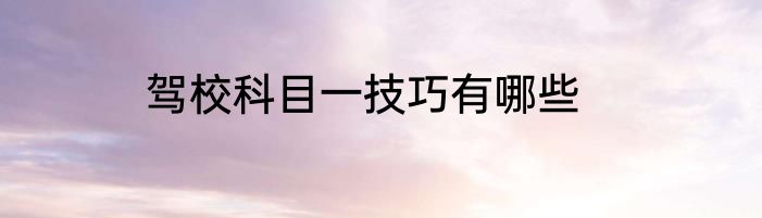 驾校科目一技巧有哪些