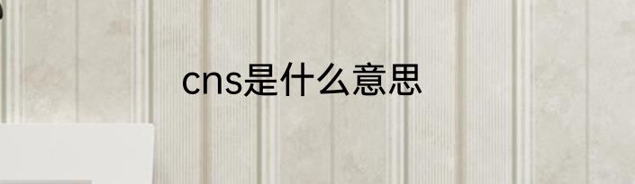 cns是什么意思