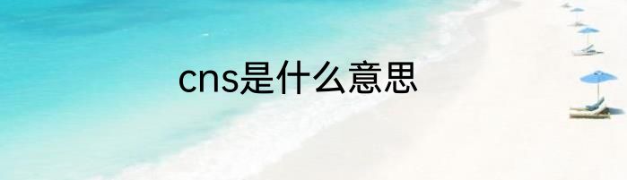 cns是什么意思