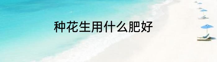 种花生用什么肥好