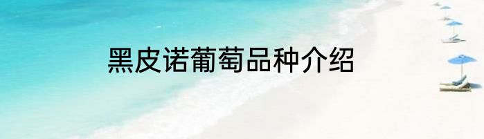 黑皮诺葡萄品种介绍