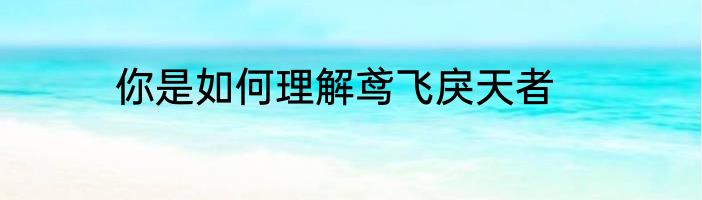 你是如何理解鸢飞戾天者