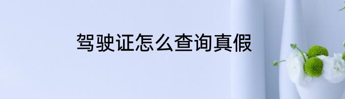 驾驶证怎么查询真假
