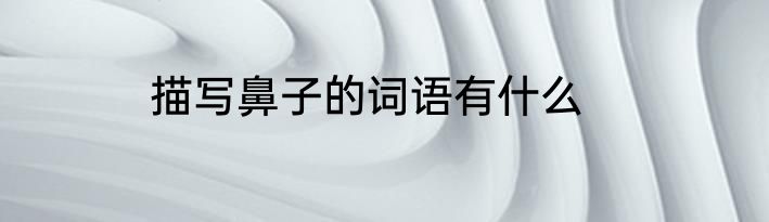 描写鼻子的词语有什么
