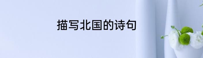 描写北国的诗句